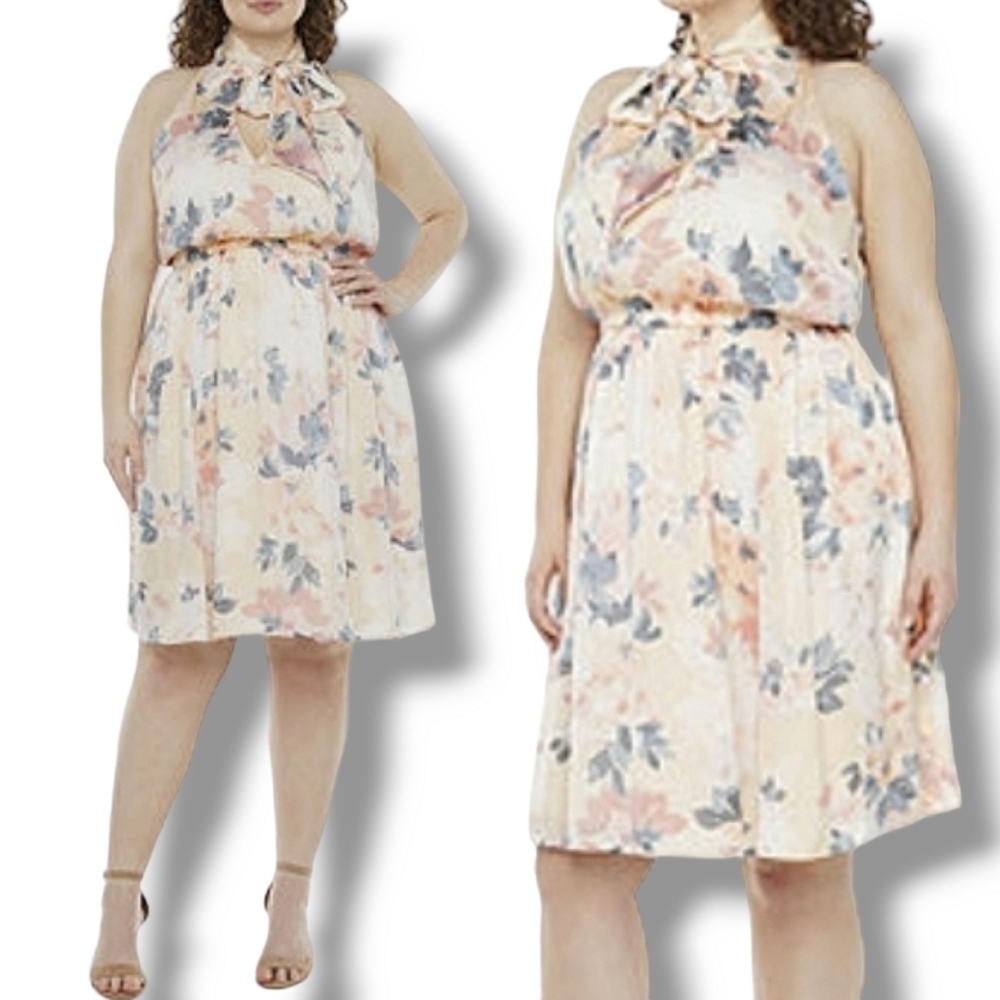 NWT Boho Ryegrass-Plus Sleeveless Floral Tie Neck Fit & Flare Dress $120